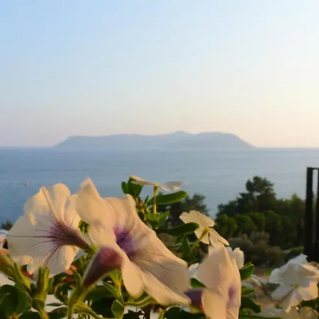 호텔 하이드어웨이 카스