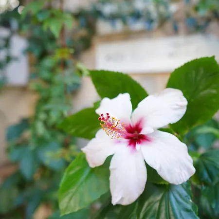 하이드어웨이 호텔 카스