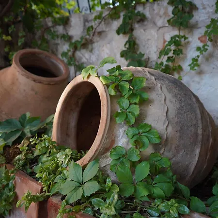 하이드어웨이 3* 카스